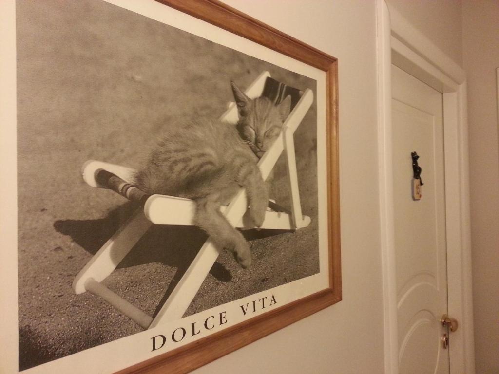 Hotel Il Gatto Rapallo Eksteriør billede